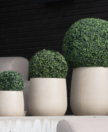 Trois buis artificiels de style romain UV D40cm topiaires dans des jardinières beiges sont alignés devant un mur en bois noir et des chaises gris clair.