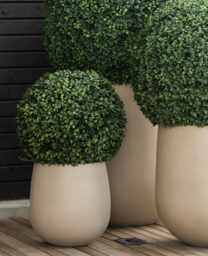 Trois jardinières en buis artificiel de style romain UV D40 cm présentent des arbustes verts ronds parfaitement taillés. Ils se trouvent sur une surface en bois contre un mur lambrissé en bois sombre, créant un affichage moderne et décoratif.