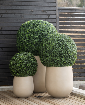 Trois jardinières en buis artificiel de style romain UV D65 cm avec des arbustes verts soigneusement taillés se dressent sur une terrasse en bois à côté d'un écran d'intimité moderne en bois sombre.