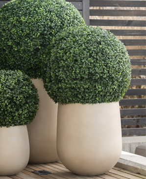 Trois grands buis artificiels de style romain UV D55cm, au feuillage vert dense et soigneusement taillé dans des jardinières rondes blanches, sont placés sur une terrasse en bois avec une clôture moderne à lattes de bois en arrière-plan.