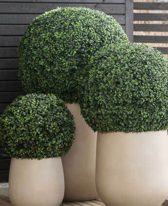 Trois grands pots de buis artificiels de style romain UV D65 cm présentent des topiaires vertes sphériques soigneusement taillées sur un fond de lattes de bois sombre sur un plancher en bois.