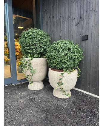 Deux jardinières de Buis Artificiel sur tige UV d60 cm avec des arbustes de buis ronds sont situées à l'extérieur d'un bâtiment au bardage en bois foncé près d'une porte vitrée.