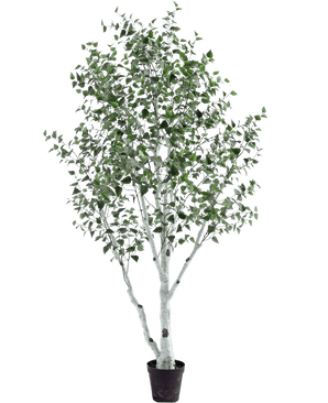 De Kunst Berkenboom 300 cm is een kunstberk in pot met een witte stam en takken, versierd met kleine groene blaadjes, tegen een effen witte achtergrond.