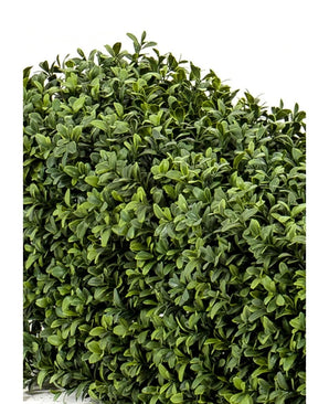 Une grappe dense de feuilles vertes de la haie de buis artificiel UV 70x20x25 cm forme une haie luxuriante et feuillue sur un fond blanc uni.