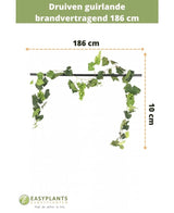 La guirlande de raisin artificiel ignifugé 186 cm mesure 10 cm de haut, avec des feuilles et des raisins verts. Idéal comme décoration végétale artificielle ou guirlande ignifugée. Equipé du texte néerlandais et du logo Easyplants Kunstplanten en bas.
