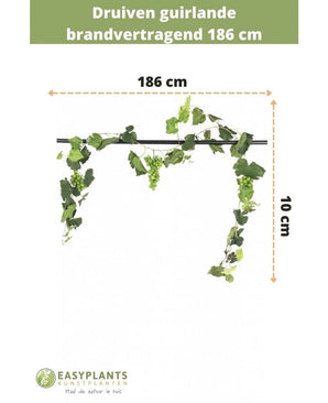 La guirlande de raisin artificiel ignifugé 186 cm mesure 10 cm de haut, avec des feuilles et des raisins verts. Idéal comme décoration végétale artificielle ou guirlande ignifugée. Equipé du texte néerlandais et du logo Easyplants Kunstplanten en bas.