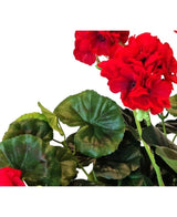 Gros plan d'un géranium artificiel rouge de 40 cm avec des pétales ébouriffés rouge vif et des feuilles rondes vertes luxuriantes sur un fond blanc.