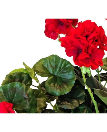 Gros plan d'un géranium artificiel rouge de 40 cm avec des pétales ébouriffés rouge vif et des feuilles rondes vertes luxuriantes sur un fond blanc.