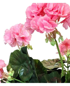Gros plan de fleurs de géranium artificiel rose vif de 40 cm avec des pétales ébouriffés et des feuilles vertes sur un fond blanc, soulignant la beauté réaliste de cette floraison artificielle.