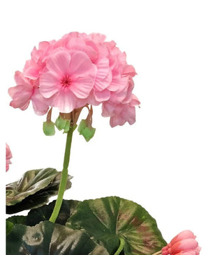 Un gros plan du géranium artificiel 40 cm rose, avec des grappes de fleurs roses réalistes et des feuilles vertes sur fond blanc, qui souligne la beauté réaliste de cette plante artificielle.