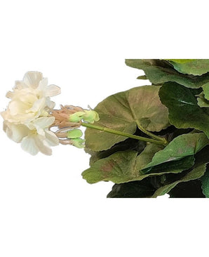 Le géranium artificiel 40 cm blanc a des fleurs blanches claires, des boutons floraux verts et de grandes feuilles rondes - une beauté fraîche et naturelle comme plante artificielle, particulièrement frappante sur un fond blanc.