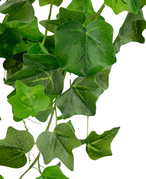 Un gros plan de lierre artificiel vert de 70 cm, avec plusieurs feuilles de lierre vert superposées avec des nervures visibles, suspendues sur un fond blanc.