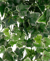 Gros plan du Lierre Artificiel 70 cm vert/blanc : feuilles de lierre panachées de vert et de blanc aux bords dentelés et aux nervures visibles, densément tassées de sorte que le fond est en grande partie caché par le feuillage luxuriant.