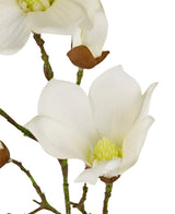 Close-up van de Kunst Magnolia Real Touch Wit 72cm: een bloeiende witte magnolia met zachte bloemblaadjes, geel hart, groene stelen en ongeopende knoppen aan de takken, tegen een witte achtergrond.