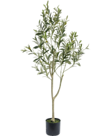 De Kunst Olijfboom 120 cm heeft slanke takken en groene bladeren in een eenvoudige zwarte pot, ideaal als decoratief element voor een mediterrane sfeer op een witte achtergrond.