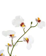 Un gros plan de l'Oncidium artificiel Real Touch 48 cm blanc montre les délicates fleurs d'orchidées blanches au centre jaune et marron sur un fond blanc uni.