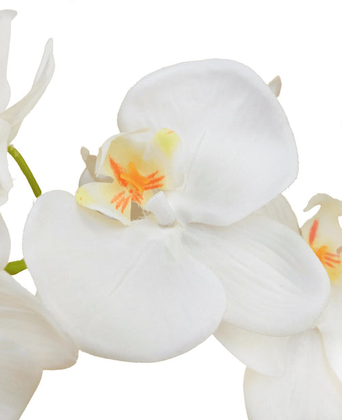 Gros plan de l'Orchidée artificielle 58 cm blanche, avec des pétales blancs doux avec une touche de jaune et d'orange au milieu, sur un fond blanc uni.