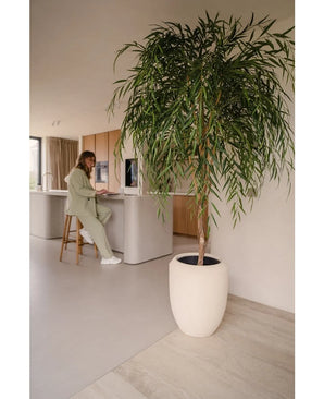 Un saule artificiel de 210 cm trône au premier plan d'une cuisine lumineuse et minimaliste. À l’arrière-plan, une personne en vert clair est assise sur un tabouret de bar au comptoir et travaille sur un ordinateur portable.