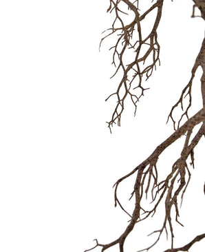 La branche Art decoration 118 cm s'étend en haut à droite sur un fond blanc, de fines branches sans feuilles, formant un motif naturel complexe avec un espace négatif sur la gauche.