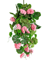 La plante artificielle suspendue Géranium 75 cm rose a des feuilles vertes artificielles et des fleurs de géranium rose qui tombent, parfaites comme décoration suspendue sur un fond blanc.