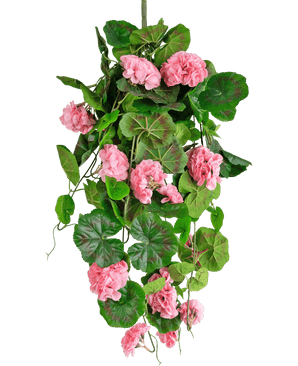 La plante artificielle suspendue Géranium 75 cm rose a des feuilles vertes artificielles et des fleurs de géranium rose qui tombent, parfaites comme décoration suspendue sur un fond blanc.
