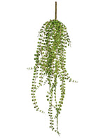 La plante succulente artificielle suspendue de 71 cm a de longues tiges vertes pendantes avec de petites feuilles rondes, parfaites pour être exposées sur un fond blanc.
