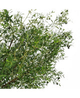 L'olivier artificiel de 270 cm avec des olives a des feuilles vertes étroites et des olives foncées, ce qui en fait la plante artificielle parfaite pour apporter un look élégant d'olivier à votre espace.