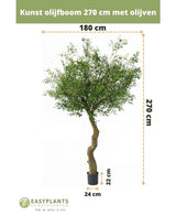 Olivier artificiel 270 cm avec olives, 180 cm de large, en pot (22x24 cm), idéal comme olivier d'intérieur. Représenté sur fond blanc avec des étiquettes de taille néerlandaise. Plante artificielle parfaite pour tout intérieur.