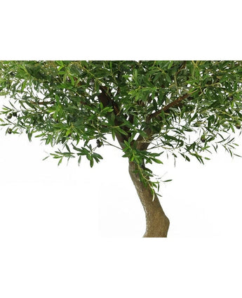 Un gros plan de l'olivier artificiel 270 cm avec des olives montre le tronc avec des feuilles et des branches vertes denses sur un fond blanc.