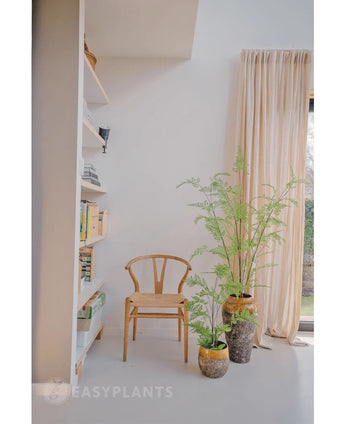 Dans une pièce lumineuse, une chaise en bois, une bibliothèque et trois plantes vertes en pot - dont la remarquable fougère artificielle de 120 cm - sont disposées près d'une fenêtre au sol avec des rideaux beiges. L'espace rayonne de paix et de minimalisme, parfait pour utiliser de belles plantes d'intérieur ou une plante artificielle élégante comme la fougère artificielle de 120 cm.