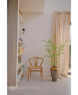 À côté d'une fougère artificielle de 120 cm de haut dans un pot se trouve une chaise en bois, à proximité de rideaux de couleur crème et d'un mur avec des étagères remplies de livres et de décorations. La lumière du soleil illumine la pièce minimaliste, où des plantes d'intérieur élégantes telles que Art Fern ajoutent une touche de tranquillité inspirée de la nature.
