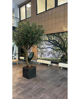 Un espace intérieur moderne avec du carrelage gris au sol, une œuvre d'art "Olivier sans olives" (270 cm) pour attirer le regard, un fauteuil vert, une grande fresque murale représentant une forêt sur le mur du fond et des fenêtres et radiateurs visibles.