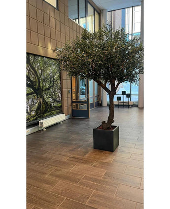 L'œuvre d'art « Olivier sans olives » (270 cm) se dresse sur un sol carrelé dans le hall moderne, avec de grandes fenêtres, des chaises en arrière-plan et une œuvre d'art en forme d'arbre sur le mur de gauche.