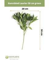 Feuille de Laurier artificielle 50 cm décor de fleur artificielle verte, 50 cm de hauteur et 20 cm de largeur, présentée sur fond blanc avec dimensions. Parfait pour n’importe quel intérieur. Logo Easyplants en bas.