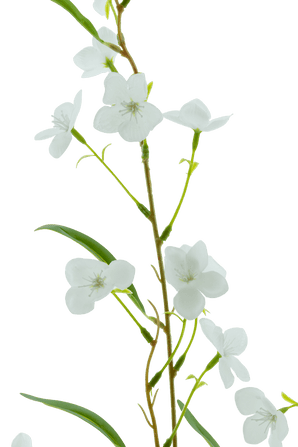 Un gros plan de la fleur artificielle Alstroemeria Real Touch White 100 cm montre la délicate tige verte, les feuilles fines et les petites fleurs blanches sur un fond blanc uni.