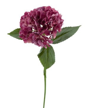 La Fleur Artificielle Hortensia Charlotte Real Touch violet 55 cm possède une seule tige d'hortensia violet avec plusieurs petits pétales et feuilles vertes, sur un fond uni blanc.