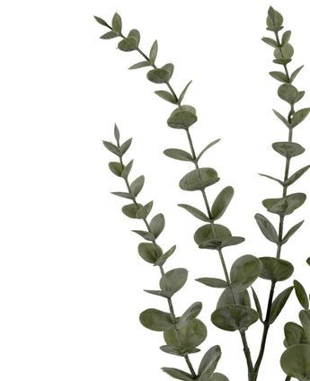 Trois tiges de fleurs artificielles d'Eucalyptus Yugali (71 cm) avec des feuilles vertes rondes, disposées en diagonale sur un fond blanc.