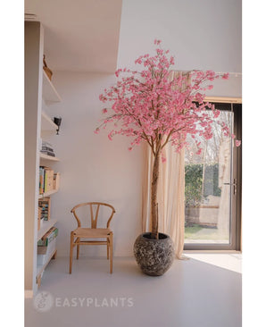 L'arbre rose en fleurs de cerisier artificiel de 240 cm aux fleurs roses est situé près d'une fenêtre dans une pièce lumineuse et moderne. Une chaise en bois se trouve à proximité, avec des étagères à gauche et la lumière du soleil traverse les rideaux transparents.