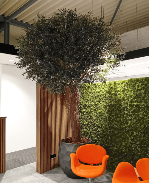 L'arbre artificiel Olivier 300 cm est situé à l'intérieur à côté d'un panneau en bois et d'un mur de mousse verte, avec deux chaises modernes orange devant lui sous un plafond industriel.