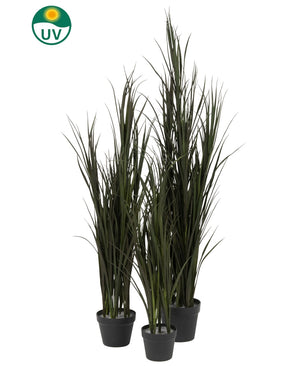 Le Gazon Artificiel Bordeaux UV 120 cm est composé de quatre plants de gazon artificiel en pot résistants aux UV, de différentes hauteurs, dans des pots noirs, chacun marqué d'un logo UV vert, sur un fond blanc uni.
