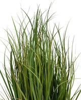 Le gazon artificiel Dogtail Onion Grass Bran 90 cm, ignifuge, possède de longues et fines tiges vertes avec des points bruns ici et là, qui se détachent sur un fond blanc.