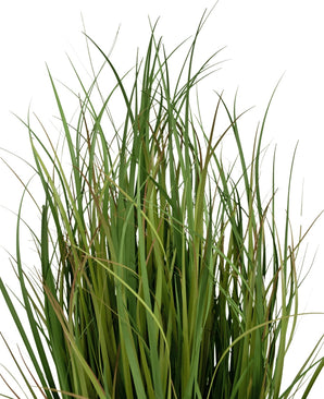 Le gazon artificiel Dogtail Onion Grass Bran 90 cm, ignifuge, possède de longues et fines tiges vertes avec des points bruns ici et là, qui se détachent sur un fond blanc.
