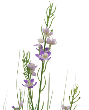 Le pot de gazon artificiel Millet Oignons 90 cm ignifuge a de hautes tiges vertes avec des feuilles minces et de petites fleurs violettes et blanches à cinq pétales dispersées le long des tiges, magnifiquement exposées sur un fond blanc.