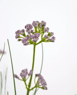 Un gros plan du pot de gazon artificiel, fleur de poireau, oignon, 60 cm, avec ses bouquets réalistes de fleurs violet clair et sa longue tige verte, sur un fond blanc uni.