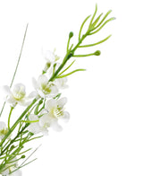 Un gros plan du gazon artificiel millet-oignon bonsaï 120 cm ignifuge montre de petites fleurs blanches à cinq pétales avec un cœur vert et des bourgeons sur une tige verte avec des feuilles fines et allongées, sur un fond blanc.