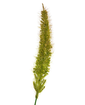 Un gros plan du pot d'herbe à oignon et quenouilles artificielles 90 cm ignifuge montrant sa tête de graine de gazon artificiel dense et moelleuse avec des poils fins, isolée sur un fond blanc.