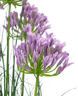 De Kunstgras paarse Agapanthus uiengraspot 90cm brandvertragend heeft een tros paarse kunst Agapanthus bloemen met slanke groene stelen en dunne bladeren tegen een witte achtergrond.