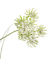Close-up van Kunstgras wortel bloemen uiengras, 90cm brandvertragend, met delicate groene stelen en trosvormige bloemhoofdjes met een witte poederachtige look, geïsoleerd op een witte achtergrond.