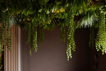 La Haie Artificielle Lush Deco Deluxe 100x100 cm UV ajoute un auvent vert luxuriant au plafond et apporte un feuillage vibrant à un espace intérieur sombre avec des murs marron unis.