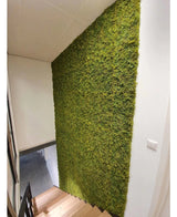 Un escalier avec des marches en bois longe un mur végétal recouvert de mousse nordique artificielle 50x50 cm UV, ajoutant un élément naturel et structuré aux murs blancs et à l'intérieur luxueux et moderne et minimaliste de l'espace.